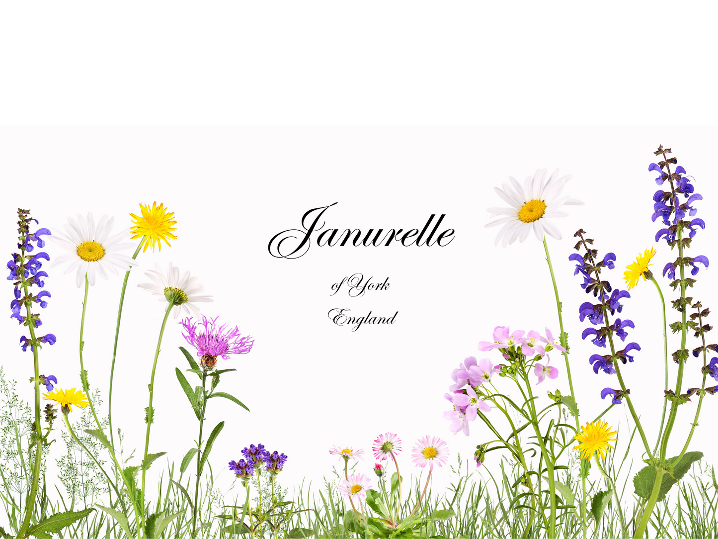 Janurelle gift card
