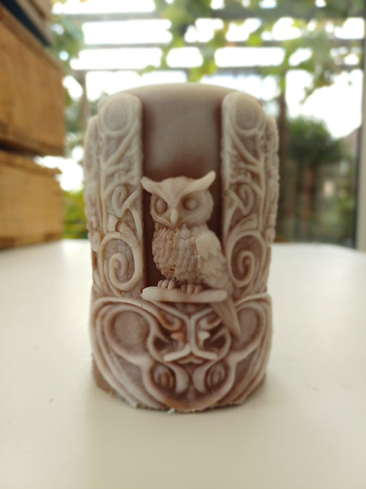 A sleepy owl